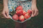 Why Autumn Crisp Apples Are the Star of Fall Fruit