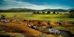 Best Tourist Activities in Ngorongoro Safari Park During Tanzania Tours
