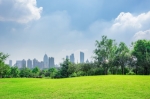 Find and Utilize Green Spaces for Mental Health