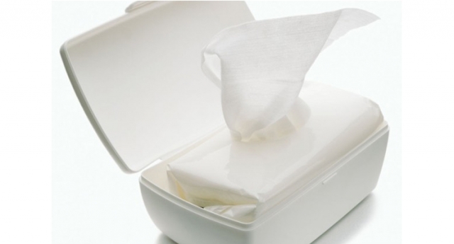 Baby Wipes Market Size, Trends, and Strategic Outlook 2025-2032