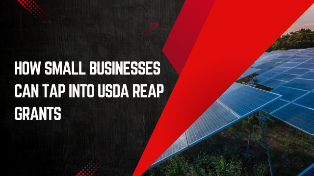 Powering Rural Progress: How Small Businesses Can Tap into USDA REAP Grants