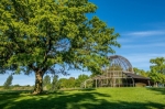 Incorporate Nature Into Your Mental Health Routine