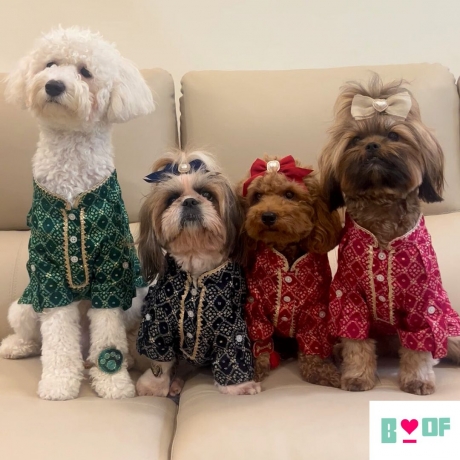 Dog kurta for Rakhi