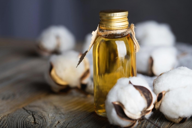 Cottonseed Oil Market Landscape Shaped by Shifting Trade, Production, and Consumer Behavior Patterns