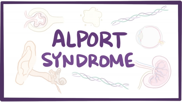 Alport Syndrome Market Growth Drivers and Strategic Outlook 2025-2032