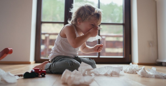 5 Flooring Options for Allergy-Friendly Homes 5 Flooring Options for Allergy-Friendly Homes