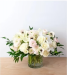 Why Carnations Are Making a Comeback in Modern Floral Design