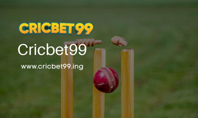 How Your Cricbet99 ID Enhances Personalized Game Experience