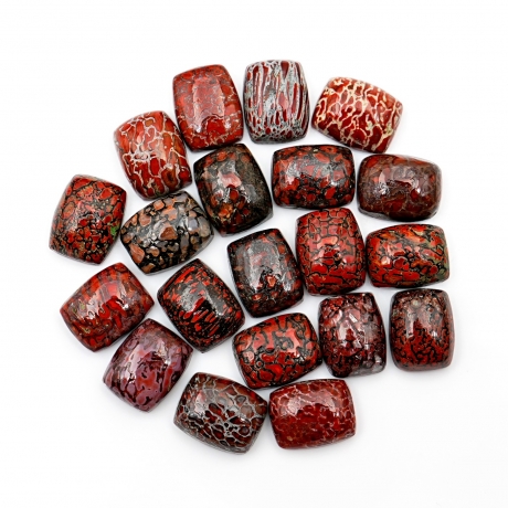 Dinosaur Bone Gemstones: Nature’s Fossilized Jewelry Treasure