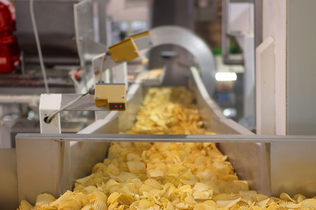 Global Food Processing Equipment Market Growth and Strategic Outlook 2025-2032