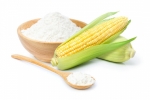 Corn Fiber Market Size, Growth, and Strategic Outlook 2025-2032
