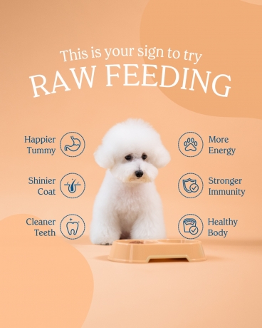 Best Dog Food in Singapore with Tailored Nutritional Benefits
