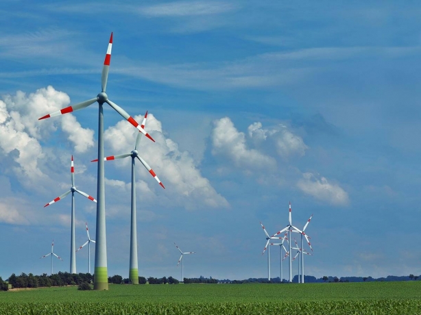 Wind Turbine Rotor Blade Market: Size, Trends, and Strategic Outlook 2025-2032