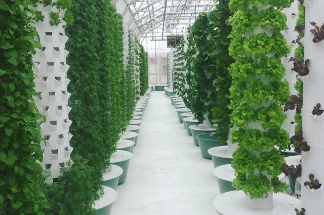 Tower Farming as a Business: Low Maintenance, High Impact