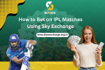 How to Bet on IPL Matches Using Sky Exchange