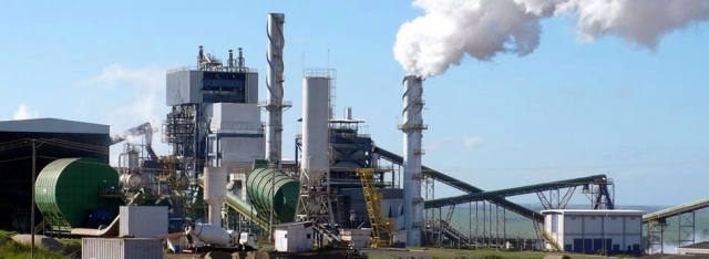 Furfural Production Plant Cost 2025: Project Report, Investment Opportunities and Business Plan