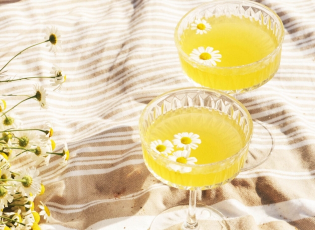 Buzzworthy Libations: Exploring the Bee's Knees Cocktail