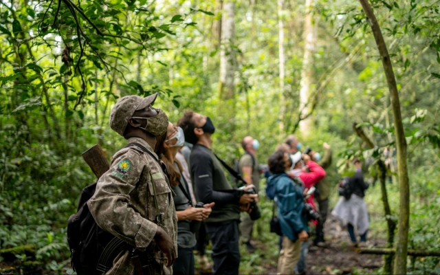 Wildlife Photography Tips in Uganda’s National Parks