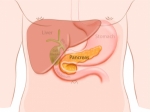 Best Pancreas Doctor in Singapore – Expert Care for Pancreatic Health