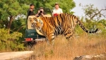 Jim Corbett Tour – A Complete Guide to India’s Oldest National Park