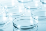 From Labs to Markets: Exploring the Expanding Scope of the Global Petri Dish Industry