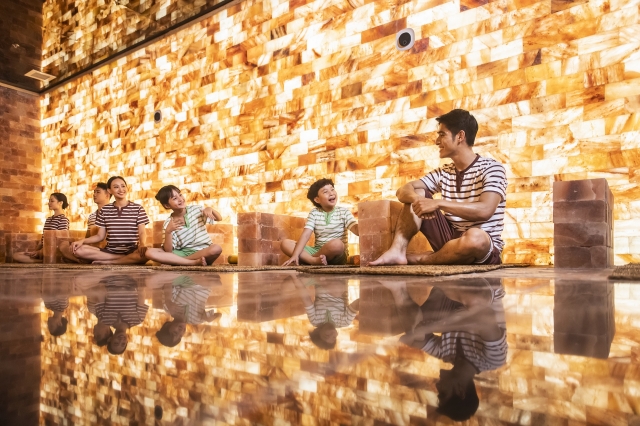 Himalayan Salt Tiles for Himalayan Salt Wall: Mind and Body Renewal with Salt Therapy