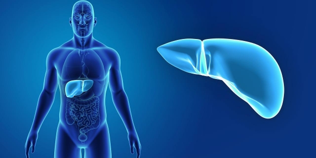 When to Consult a Singapore Liver Surgeon: Signs and Symptoms