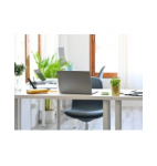 XINCHI Chairs In Living Room