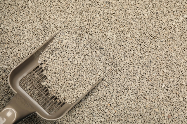 Cat Litter Manufacturing Plant Report 2025: Strategic Planning, Setup Details, Cost and Requirements