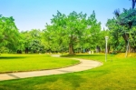 Unlocking Mental Health: Incorporating Green Spaces Into Life