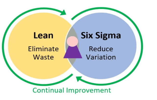 Lean Six Sigma: Improve Quality and Reduce Variability.