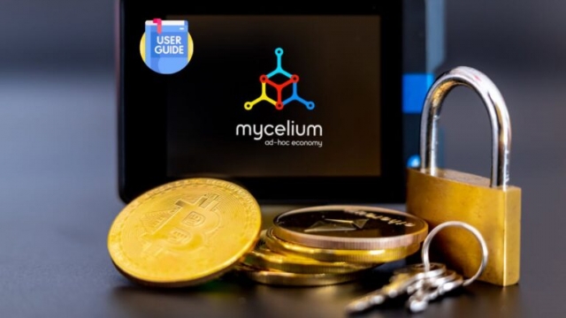 Mycelium Wallet Recovery Guide (2025): How to Recover Missing Funds from Mycelium Wallet?