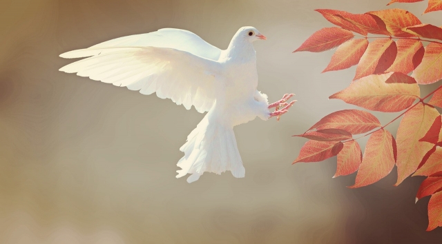 Why I'm Excited for Message Ark's Indiegogo Campaign: A Christian Perspective
