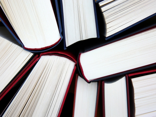 Tips for Finding a Great Online Tutor