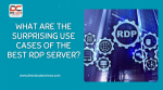 What Are the Surprising Use Cases of the Best RDP Server?