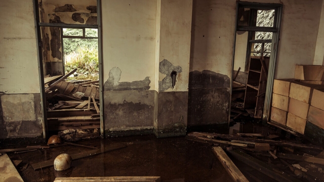 Making a Splash: The Importance of Professional Water Damage Restoration Services