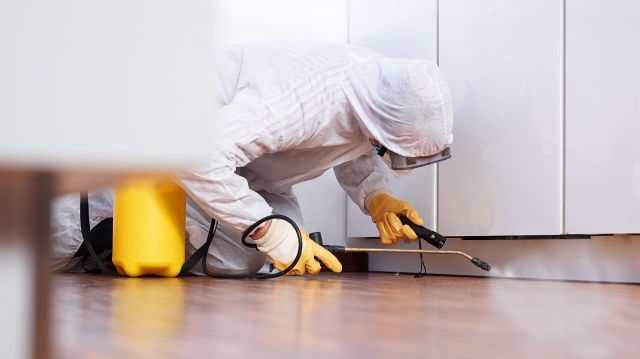 Pest Control Solutions Cleveland