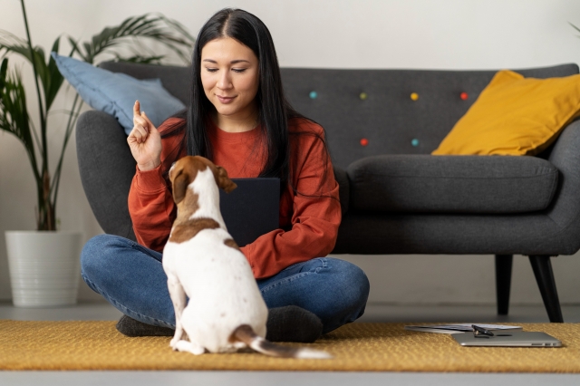 The Benefits of Hiring a Professional Pet Sitter in West Palm Beach