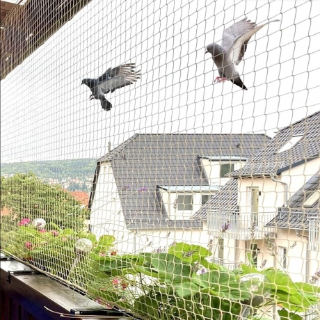 Toronto Homeowners’ Guide to Choosing the Right Anti-Bird Net for Balconies