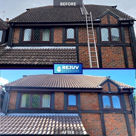 Roof Cleaning Experts What's Eating Your Roof? 