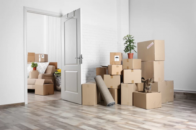 Affordable House Removals by Experienced Removalists Brisbane | Local Cheap Brisbane Movers