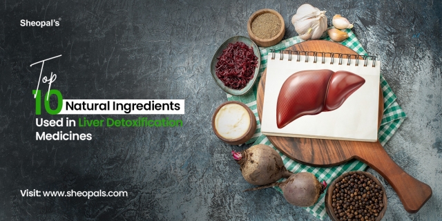 Top 10 Natural Ingredients Used in Liver Detoxification Medicines 