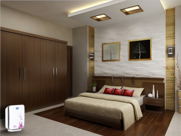 Eco-Friendly Room Air Purifiers: Save Energy and Breathe Easy