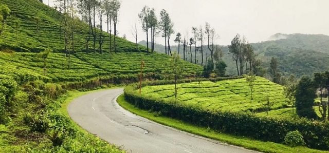 How to Plan the Perfect South India Photography Tour