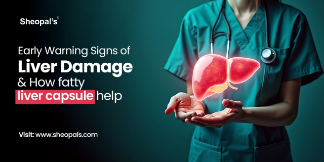 Why Your Liver Needs a Detox: Signs You Shouldn’t Ignore 