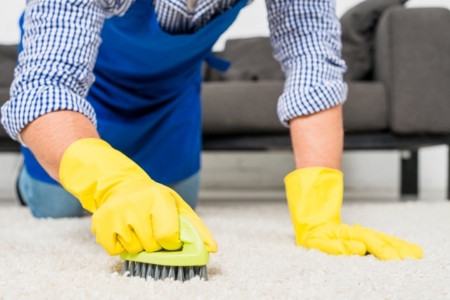 The Difference Between DIY and Professional Carpet Care