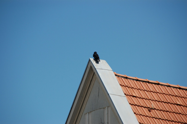 Commercial Roofing Trends Georgia Businesses Shouldn’t Ignore