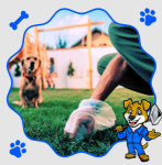 Reliable Dog Poop Pickup Service in DFW and Fort Worth