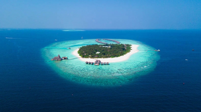 Top 10 Activities to Try in Havelock Island 2025