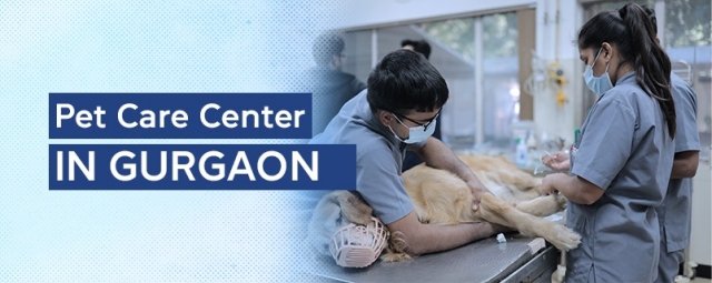 Pet care center in gurgaon